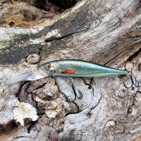 Westin Jerkbite SR Jerkbaits 7.5cm/5g